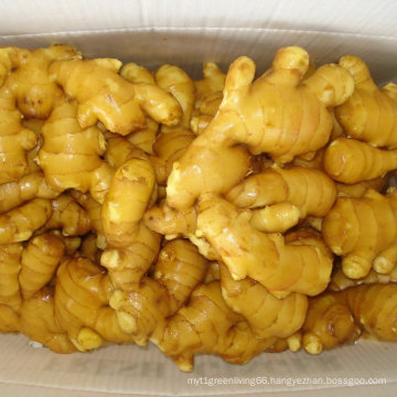 Chinese Ginger in 2015 with High Quality